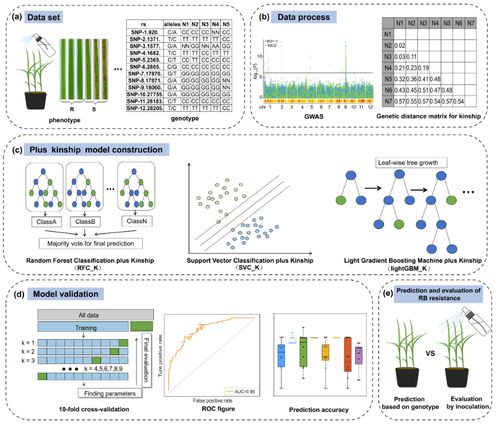 智能育种新突破 AI模型精准筛选抗病种子，数字化技术引领农业革新